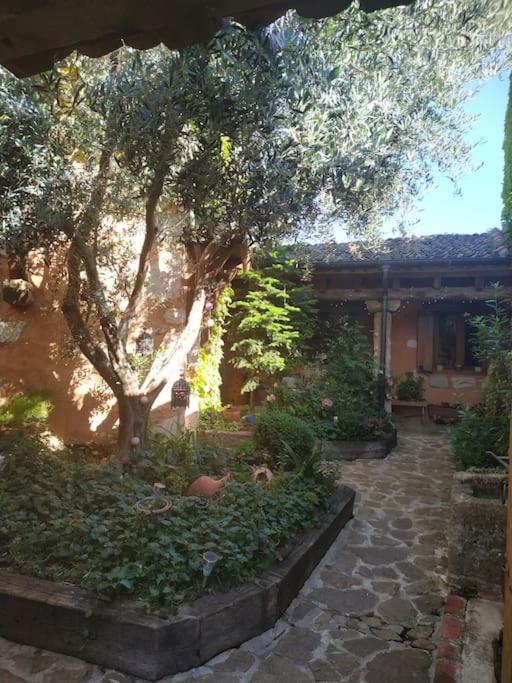 Una Casa En El Planeta Losana de Piron Exterior foto